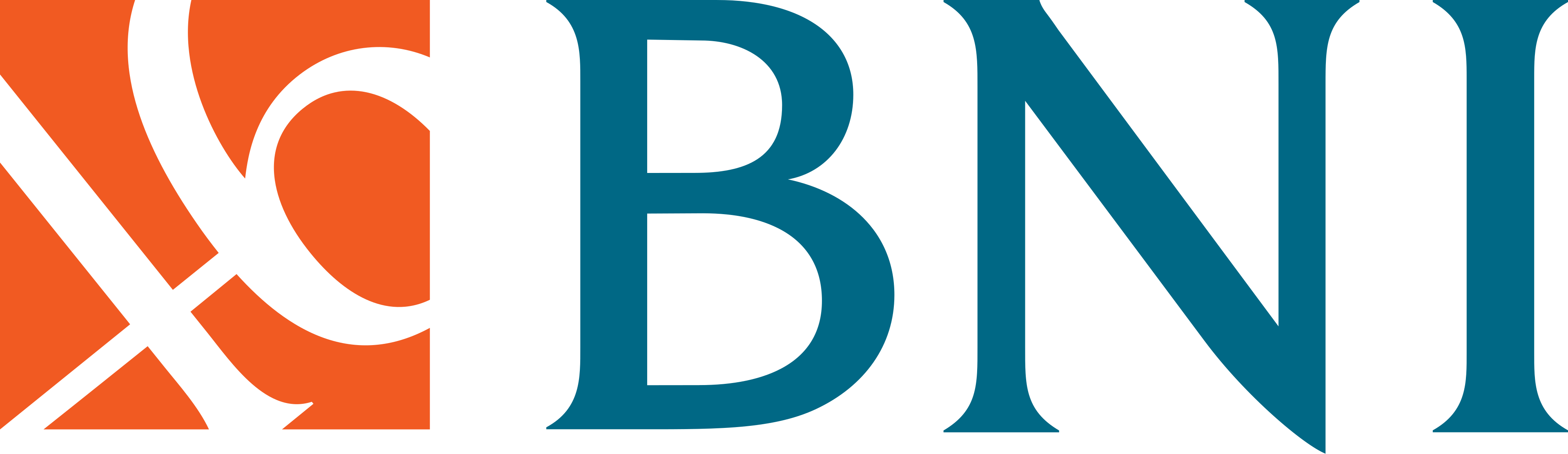 Bank BRI